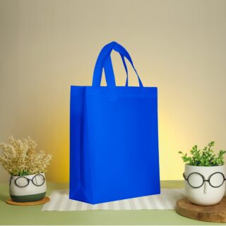 Box Bag 31/27/11 - 60gsm