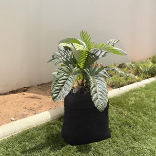 Pot en pochette Simple 45/35/0 - 30gsm