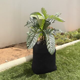Pot en pochette Simple 50/35/0 - 30gsm