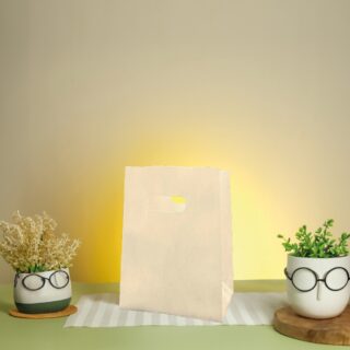 Box Bag poignet D-cut 23/20/8 - 37gsm